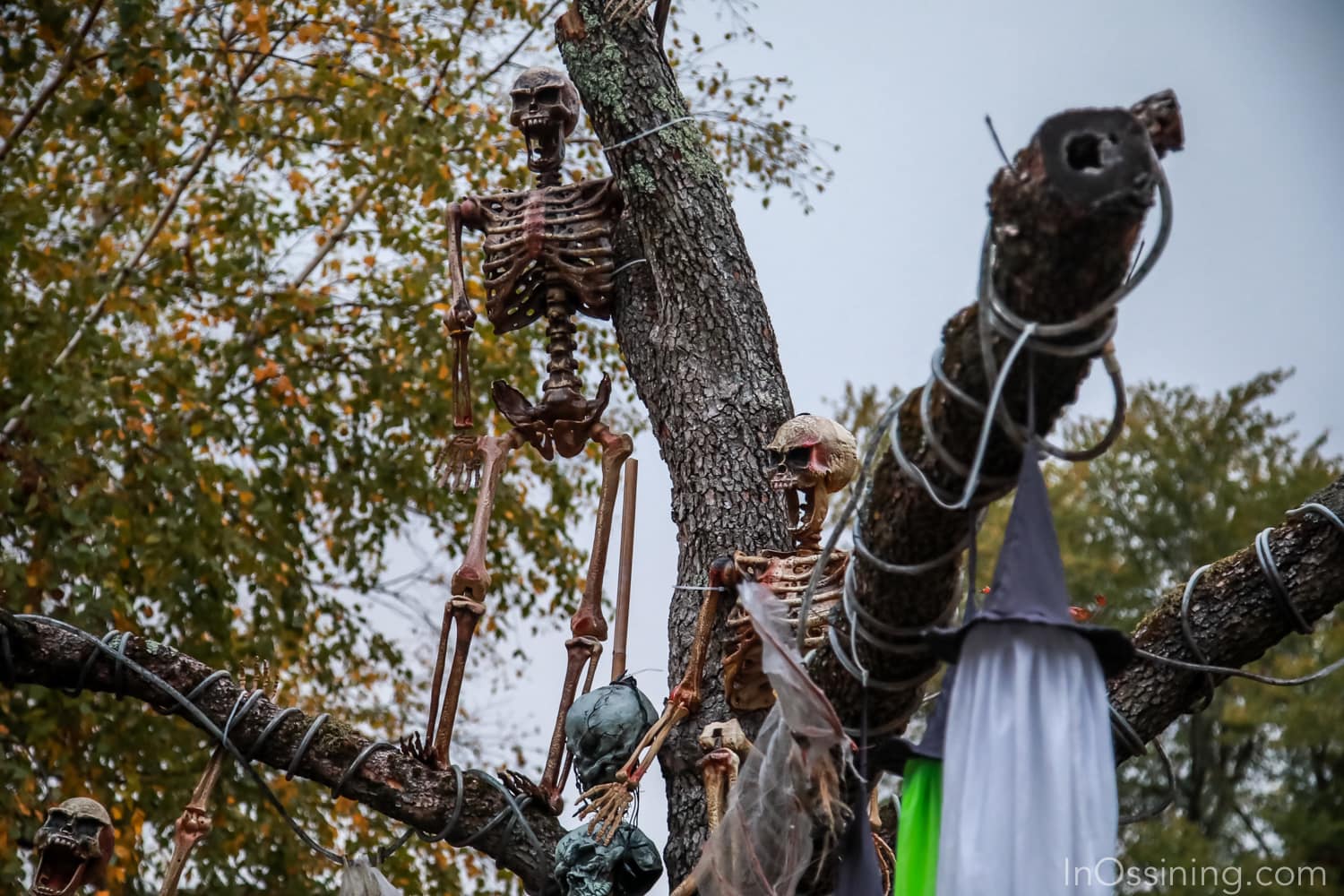 Halloween House on Iroquois